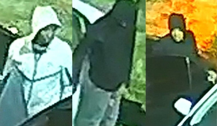 Mitchell Avenue Car Crooks Rip Through Parked Rides As Cops Plead For Tips
