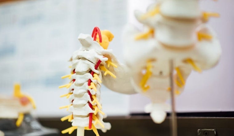 Mo Pols Axe Medicaid Back Cracks, Chronic Pain Patients Left Stiff
