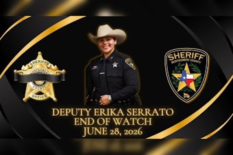 Montgomery County Deputy Struck And Killed On Deadly Stretch Of I-45 Near The Woodlands