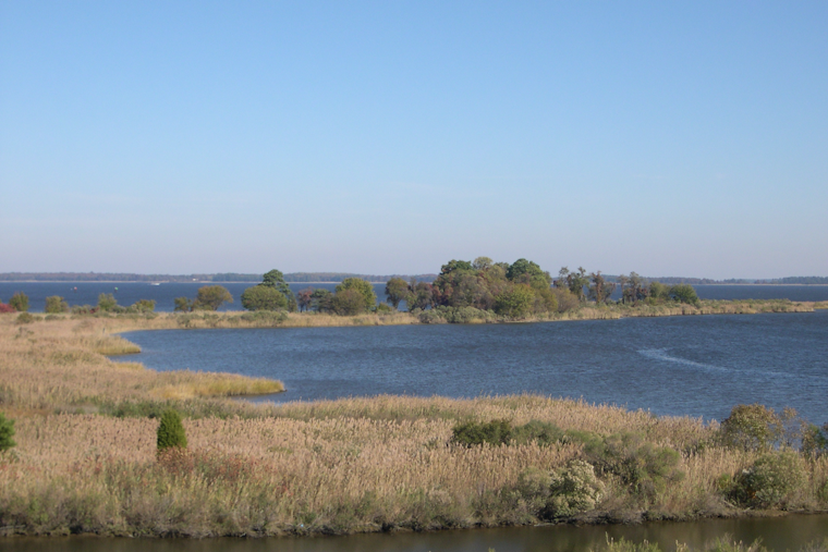 Moore Drops $31.5 Million To Clean Up Chesapeake Bay