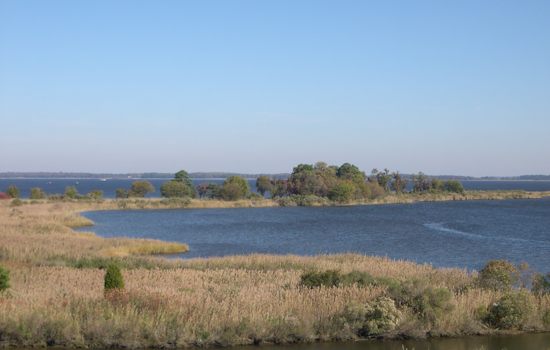 Moore Drops $31.5 Million To Clean Up Chesapeake Bay