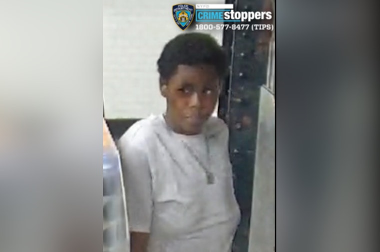 Mott Haven Woman Choked In Subway Mugging Try As Cops Hunt Suspect