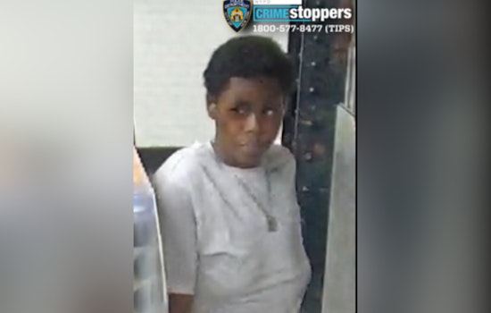 Mott Haven Woman Choked In Subway Mugging Try As Cops Hunt Suspect