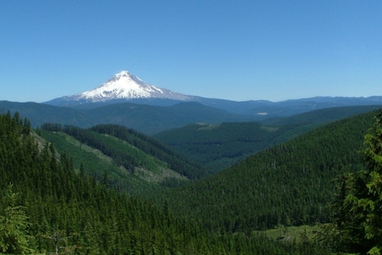 Lightning Rips Mount Hood Tree, Stokes Hidden Wildfire Threat Near Portland