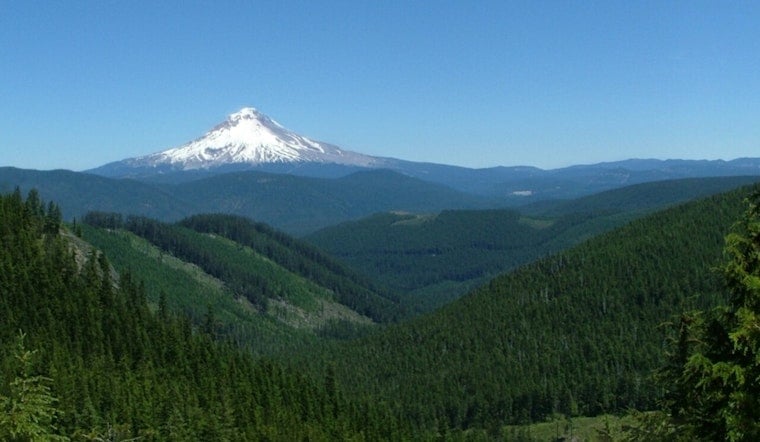Lightning Rips Mount Hood Tree, Stokes Hidden Wildfire Threat Near Portland