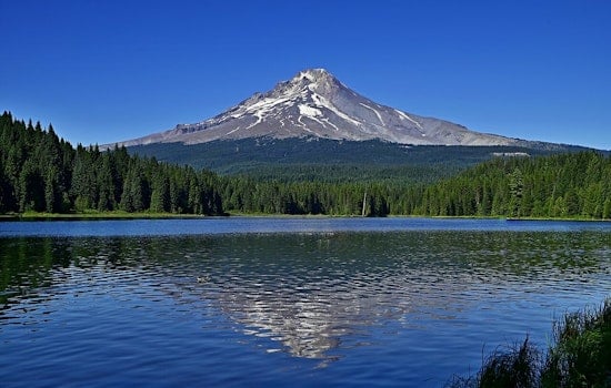 Mt. Hood Snuffs Campfires As July 1 Burn Ban Slams Holiday Plans
