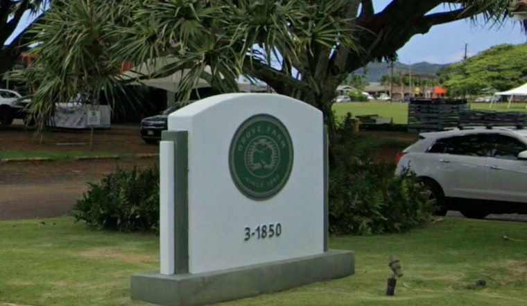 Nan Inc. Snags 280 Acres Outside Lihue For Kauai Ops Hub