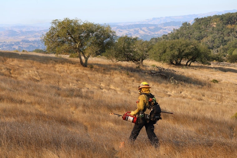 Napa Neighbors Brace As Fire Crews Torch 100 Acres Above Wild Horse Valley