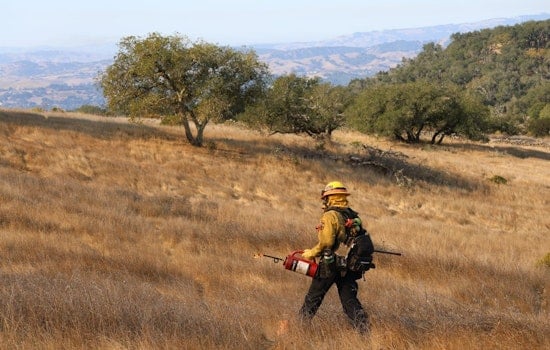 Napa Neighbors Brace As Fire Crews Torch 100 Acres Above Wild Horse Valley