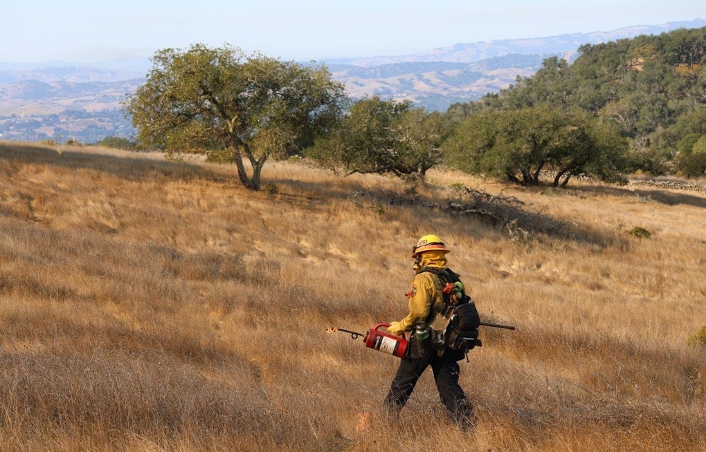 Napa Neighbors Brace As Fire Crews Torch 100 Acres Above Wild Horse Valley