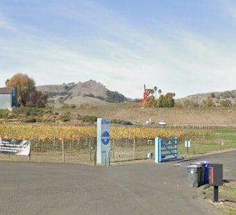 Napa’s Di Rosa Art Oasis Hits the Market as Locals Fight for Museum’s Future