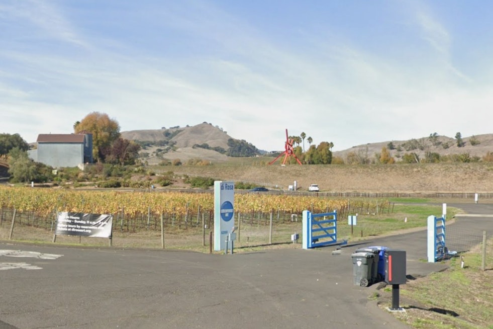 Napa’s Di Rosa Art Oasis Hits the Market as Locals Fight for Museum’s Future