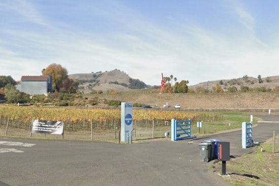 Napa’s Di Rosa Art Oasis Hits the Market as Locals Fight for Museum’s Future