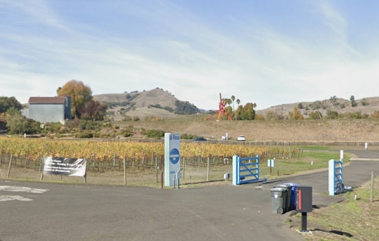 Napa’s Di Rosa Art Oasis Hits the Market as Locals Fight for Museum’s Future