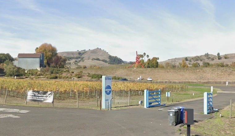 Napa’s Di Rosa Art Oasis Hits the Market as Locals Fight for Museum’s Future
