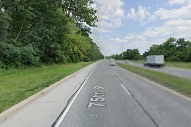 Naperville Ridge Plan Would Clear 32 Acres Of Woods For 94 Duplexes
