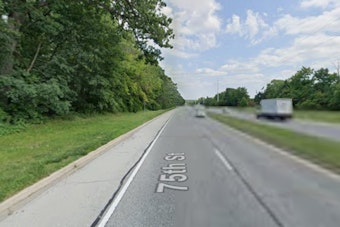 Naperville Ridge Plan Would Clear 32 Acres Of Woods For 94 Duplexes