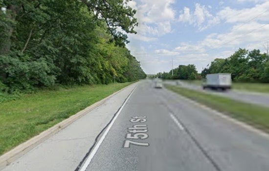 Naperville Ridge Plan Would Clear 32 Acres Of Woods For 94 Duplexes