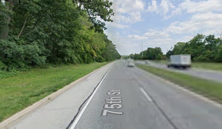 Naperville Ridge Plan Would Clear 32 Acres Of Woods For 94 Duplexes