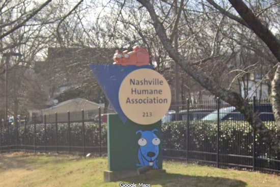 Nashville Pooch Panic as Shelter Dog Area Left Nearly Underwater