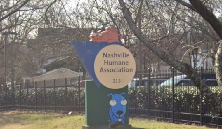Nashville Pooch Panic as Shelter Dog Area Left Nearly Underwater