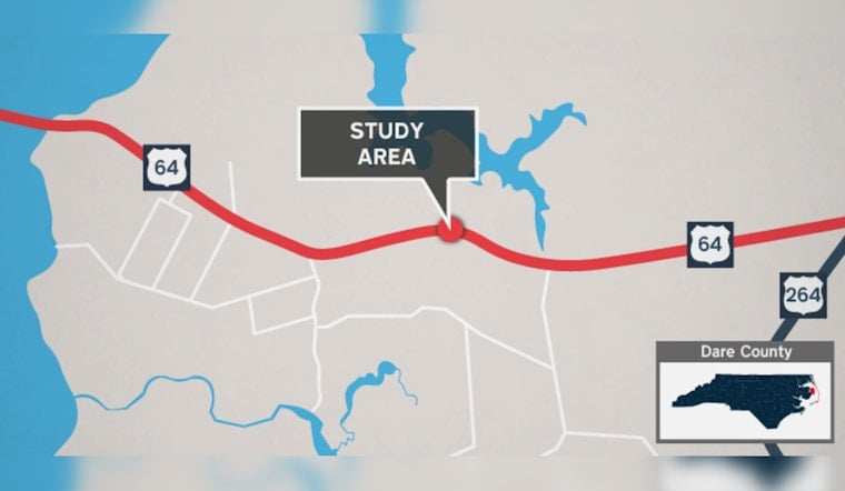 Red Wolves Get A Pricey Lifeline As NCDOT Plots Alligator River Wildlife Tunnels