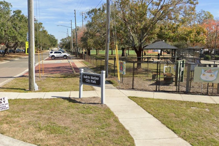 Nesting Birds Could Blow Up Safety Harbor’s July 4 Fireworks Plans