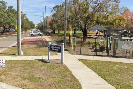 Nesting Birds Could Blow Up Safety Harbor’s July 4 Fireworks Plans