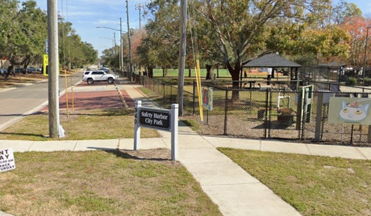 Nesting Birds Could Blow Up Safety Harbor’s July 4 Fireworks Plans