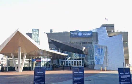 New England Aquarium Sees Surge In Sea Turtle Rescues