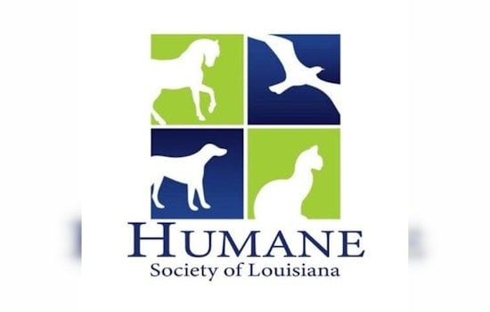 New Orleans Dog Dumped in Trash Can, Humane Society Puts $1K Bounty on Abuser
