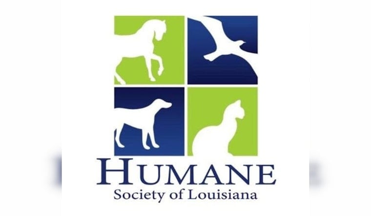 New Orleans Dog Dumped in Trash Can, Humane Society Puts $1K Bounty on Abuser