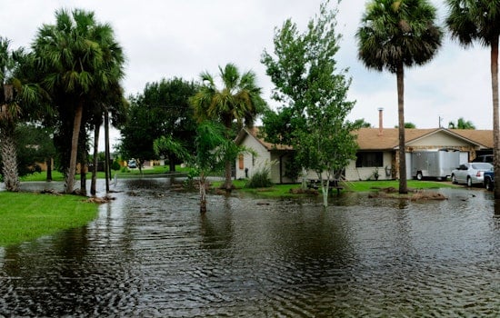 New Orleans on Flood Watch as Muggy Skies Threaten Street-Swamping Downpours