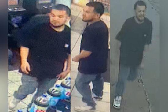 North Freeway Chaos As Houston Cops Hunt Rock-Smash Robbery Duo