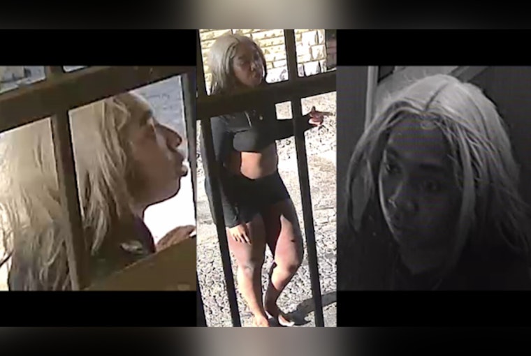 North Freeway Motel Showdown as Cops Hunt Woman Accused of Snatching Worker’s Belongings