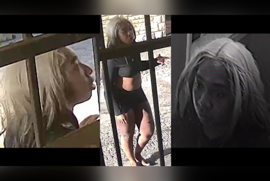 North Freeway Motel Showdown as Cops Hunt Woman Accused of Snatching Worker’s Belongings