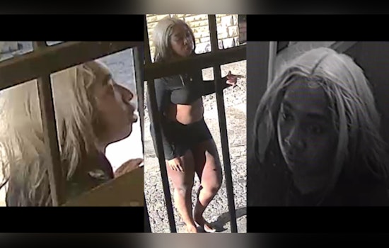 North Freeway Motel Showdown as Cops Hunt Woman Accused of Snatching Worker’s Belongings
