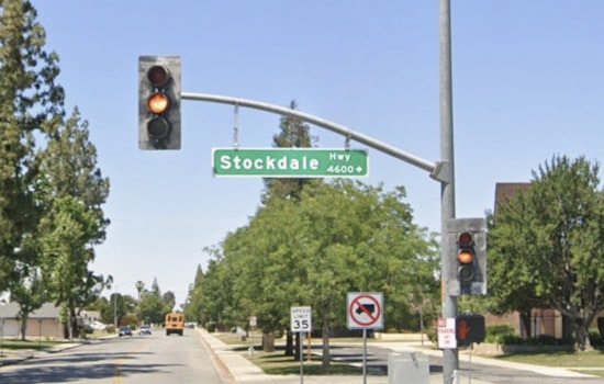 Northeast Side Bee Swarm Turns Quiet San Antonio Block Into Chaos