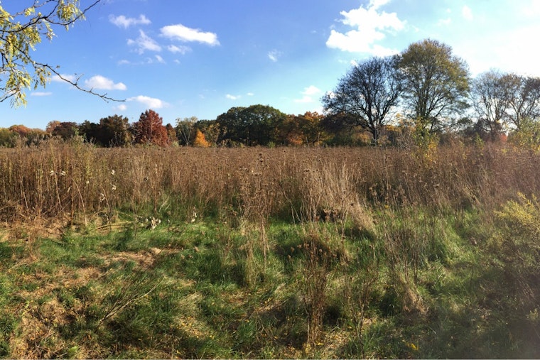 Northwest Detroit Scores Long‑Delayed Win With Rogell And Rouge Revamps