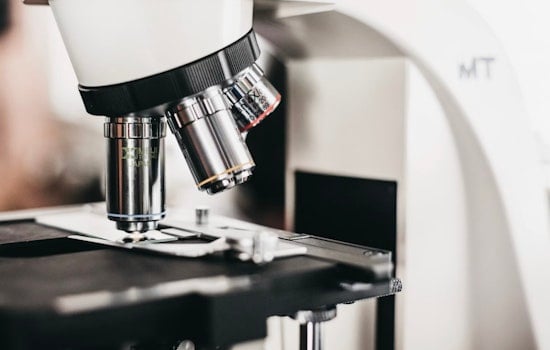 NYC Lab's Gene-Tweaked Embryos Ignite Ethics Brawl