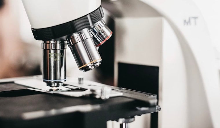 NYC Lab's Gene-Tweaked Embryos Ignite Ethics Brawl