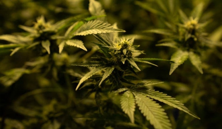 Oklahoma Limits Edible THC And Bans Kid-Friendly Packaging