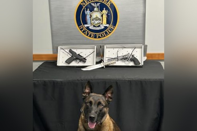 Old Westbury LIE Stop Nets Loaded 9mm Under Driver’s Seat, Cops Say