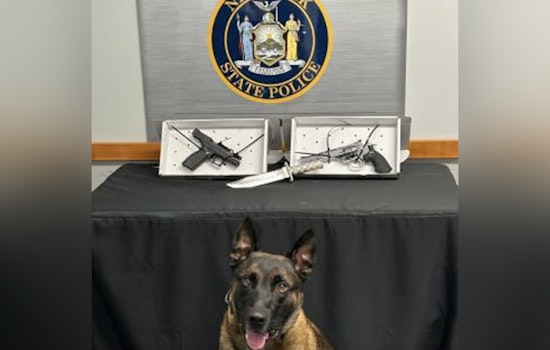 Old Westbury LIE Stop Nets Loaded 9mm Under Driver’s Seat, Cops Say