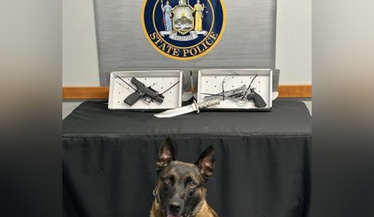Old Westbury LIE Stop Nets Loaded 9mm Under Driver’s Seat, Cops Say