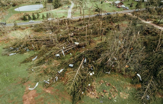 One Year After Nighttime Derecho, Bemidji Still Buried In Downed Trees