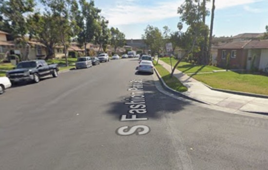 Orange Driver Arrested After Alleged Courtyard Attack