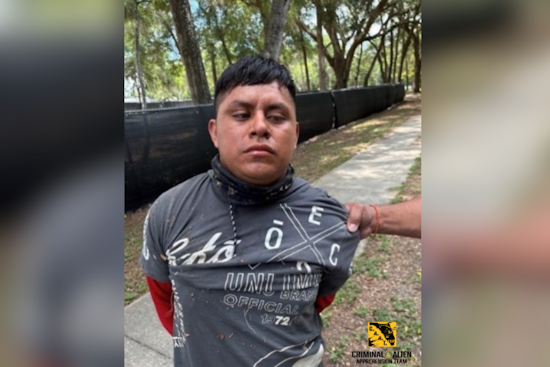 Orlando Man Arrested After Alleged Attack On ICE Agent