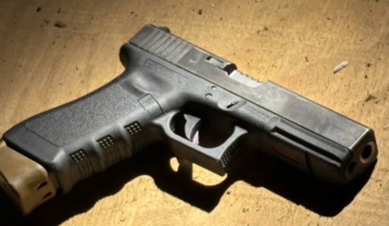 Overnight Dunn Gunfire Leads Cops To Stolen Raleigh Pistols, Youths Detained