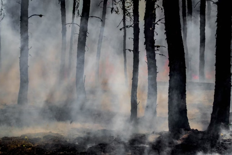 Pasco Brush Fire Near State Road 52 Chokes Conner Preserve With Smoke